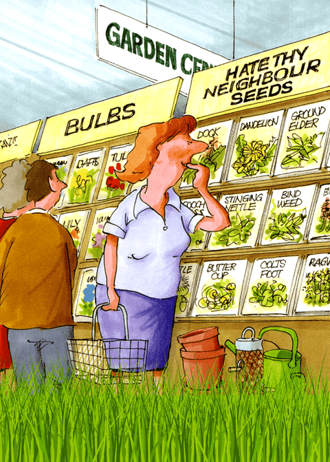 Funny CardsPeartree HeybridgeComedy Card CompanyHate thy neighbour seeds