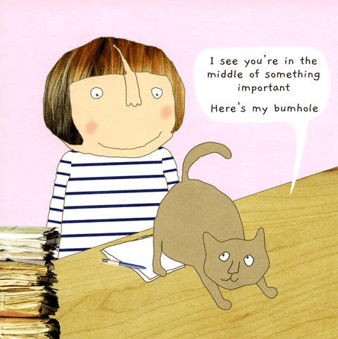 Funny CardsRosie Made a ThingComedy Card CompanyCat - In the middle of something important