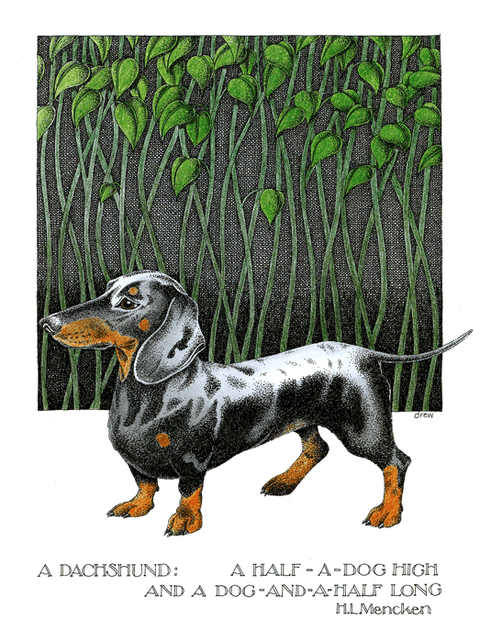 Funny CardsSimon DrewComedy Card CompanyDachshund - Dog and a half long