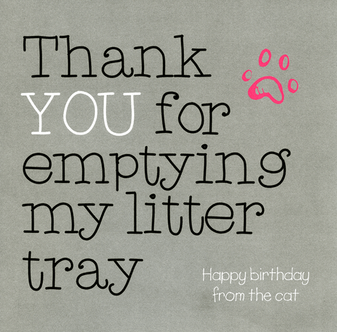 Funny CardsSplimpleComedy Card CompanyThank you for emptying my litter tray