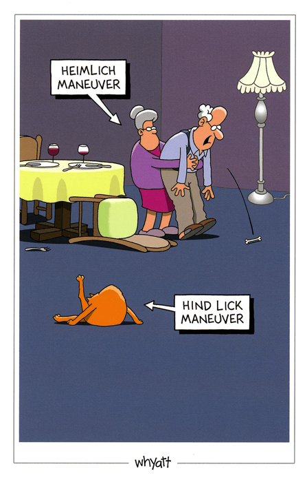 Funny CardsTraces of NutsComedy Card CompanyHind Lick Maneuver