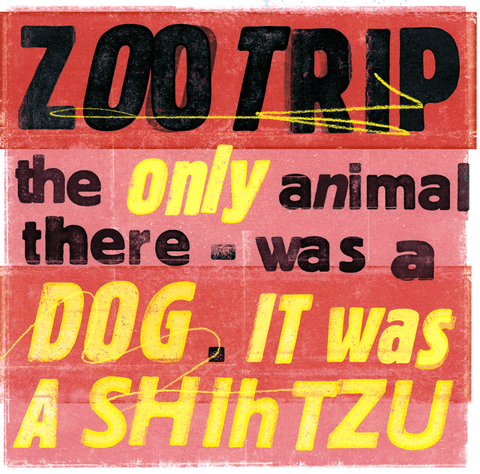 Funny CardsU StudioComedy Card CompanyZoo - a Shih Tzu