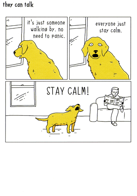 Funny CardsWoodmansterneComedy Card CompanyDog - Stay calm