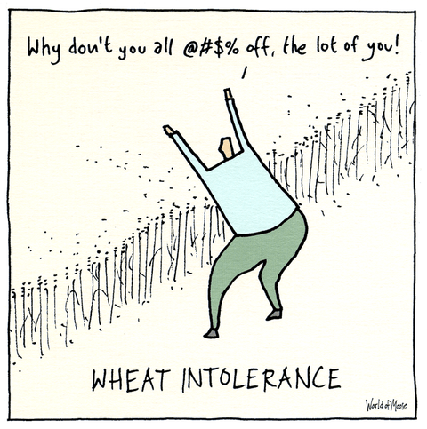 Funny CardsWoodmansterneComedy Card CompanyWheat Intolerance