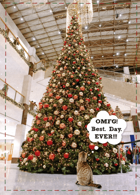 Funny Christmas cardsBrainbox CandyComedy Card CompanyBest Day Ever