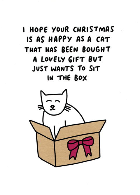 Funny Christmas cardsCath TateComedy Card CompanyHappy as a cat in a box