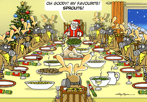 Funny Christmas cardsRainbow CardsComedy Card CompanyMy favourite - Sprouts!
