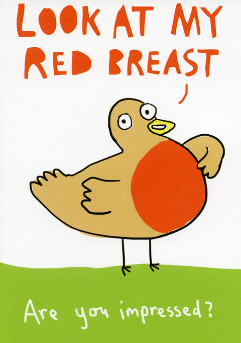Funny Christmas cardsSarah RayComedy Card CompanyChristmas robin - red breast