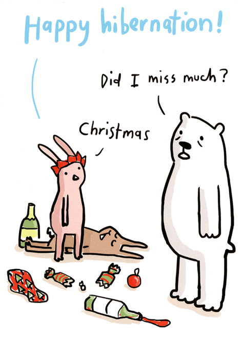 Funny Christmas cardsSarah RayComedy Card CompanyHibernation - Did I miss much?