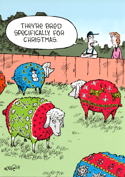 Funny Christmas cardsWoodmansterneComedy Card CompanyBred for Christmas