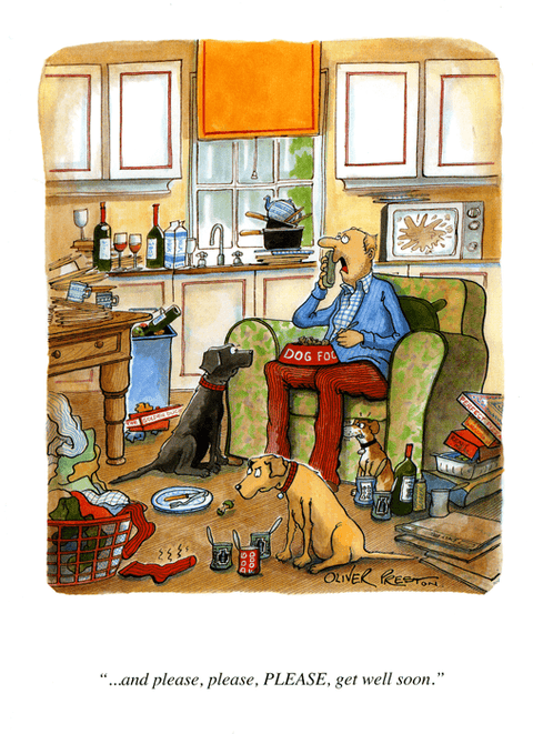 Funny Get Well Soon CardsOliver PrestonComedy Card CompanyPlease, please, PLEASE get well soon