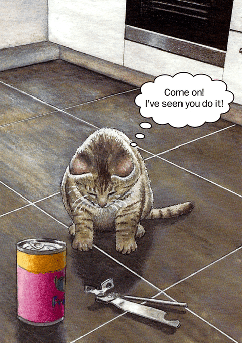 Funny Greeting CardCath TateComedy Card CompanyCat - seen you do it