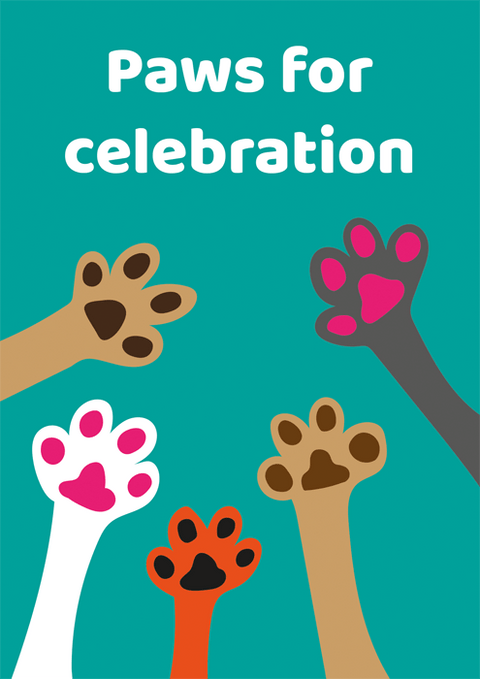 Funny Greeting CardComedy Card CompanyComedy Card CompanyPaws for Celebration