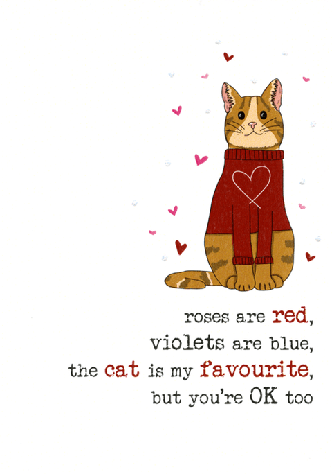 Funny Greeting CardDandelion StationeryComedy Card CompanyCat is my favourite