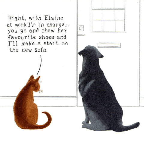 Funny Greeting CardNot at All JackComedy Card CompanyMake a start on the sofa