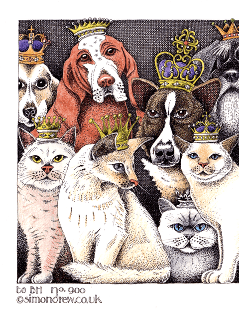 Funny Greeting CardSimon DrewComedy Card CompanyReigning Cats and Dogs