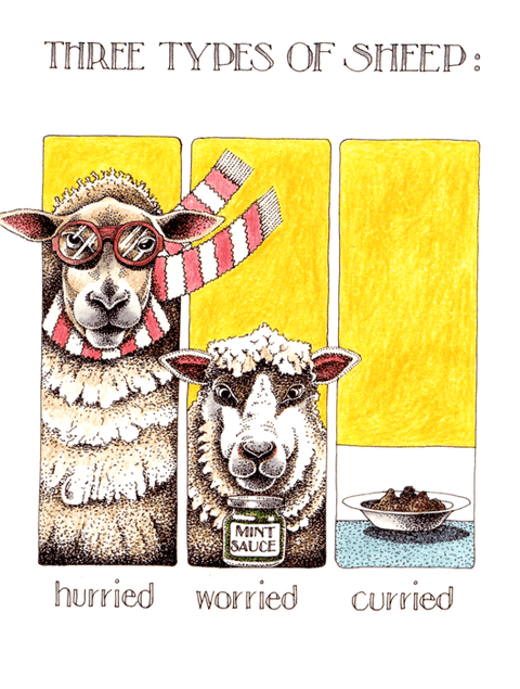 Funny Greeting CardSimon DrewComedy Card CompanyThree types of Sheep