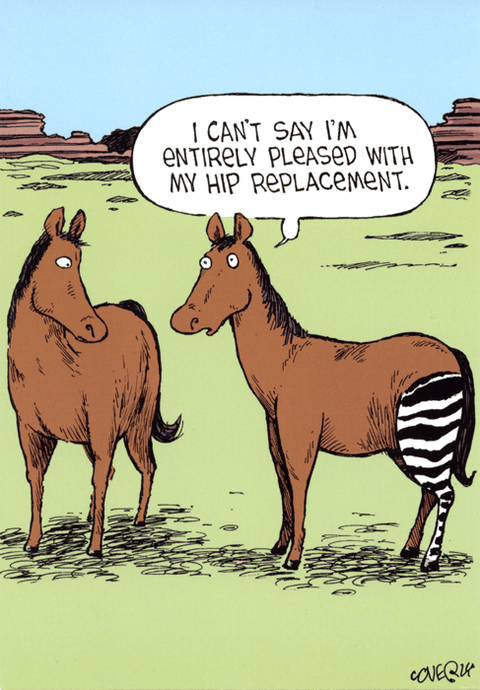 Funny Greeting CardWoodmansterneComedy Card CompanyHorse - Hip replacement