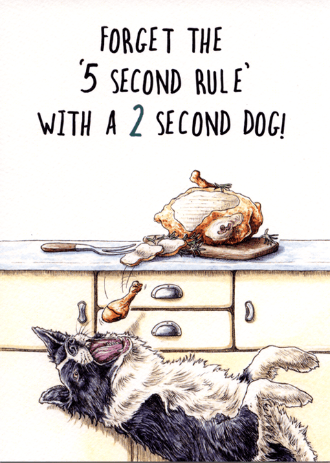 humorous greeting cardBewilderbeestComedy Card CompanyDog - 5 second rule