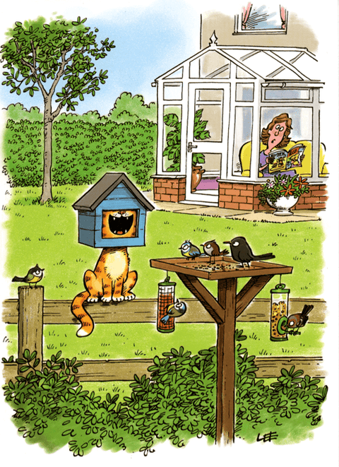 humorous greeting cardCountry CardsComedy Card CompanyBeware of the Cat