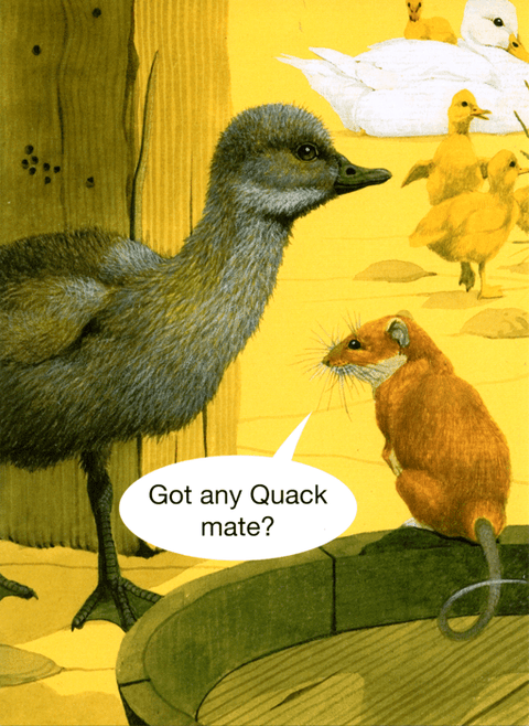 humorous greeting cardKiss me KwikComedy Card CompanyAny quack mate?