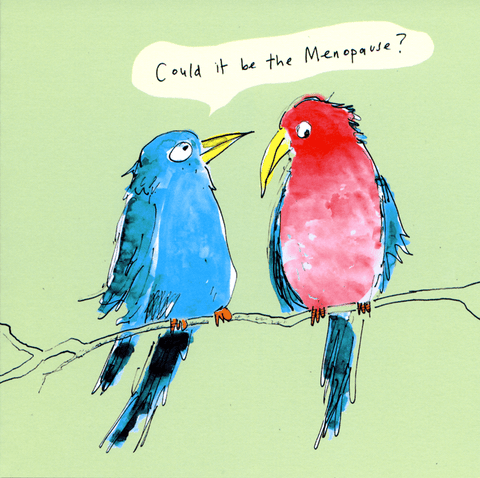 humorous greeting cardPoet and PainterComedy Card CompanyCould it be Menopause?