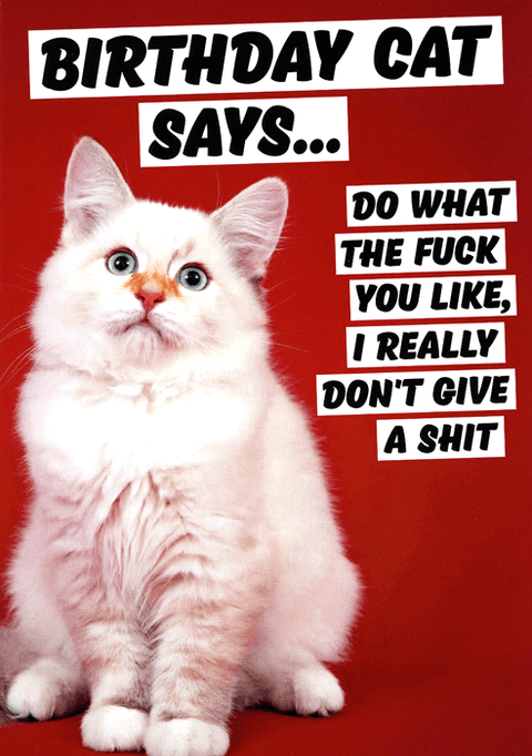 Rude Birthday CardsDean MorrisComedy Card CompanyBirthday cat says