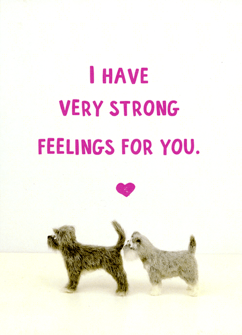 Valentines cardsBold & BrightComedy Card CompanyStrong feelings for you
