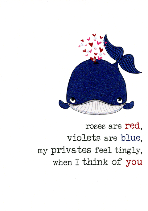 Valentines cardsDandelion StationeryComedy Card CompanyPrivates feel tingly